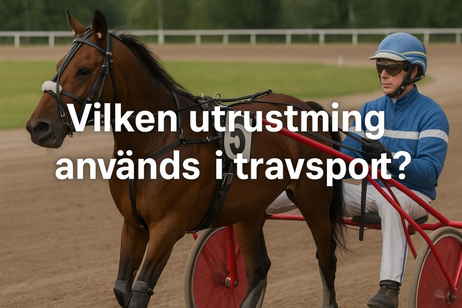 Vilken utrustning används i travsport?